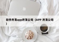 軟件開發(fā)app開發(fā)公司（APP 開發(fā)公司）