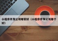 小程序開發(fā)公司哪家好（小程序開發(fā)公司那個好）