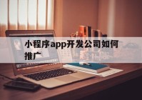 小程序app開發(fā)公司如何推廣(小程序app開發(fā)公司如何推廣賺錢)