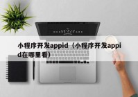 小程序開發(fā)appid（小程序開發(fā)appid在哪里看）