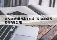 遼陽app軟件開發(fā)多少錢（沈陽app開發(fā)軟件有限公司）