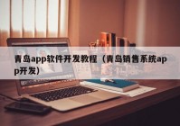 青島app軟件開發(fā)教程（青島銷售系統(tǒng)app開發(fā)）