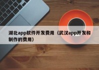 湖北app軟件開(kāi)發(fā)費(fèi)用（武漢app開(kāi)發(fā)和制作的費(fèi)用）